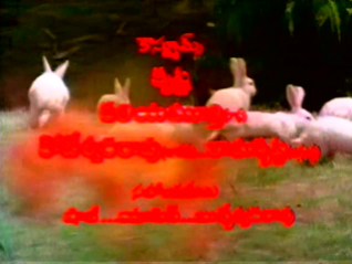 CinemaChaat_Adavi-Donga_rabbits